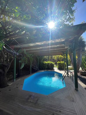 Pool - Large finca with garden paradise, yoga house and pool. Fantastic sea view!  (Icod de los Vinos)