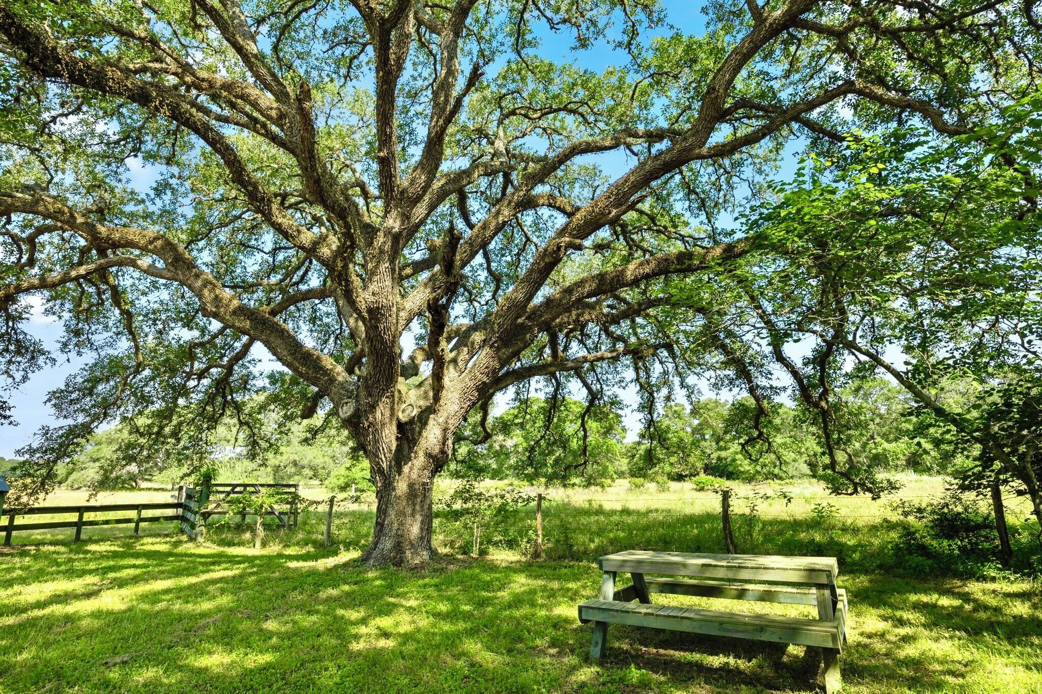 Beautiful 160 Acres Luxurious Ranch & 2 Lakes! Great for Celebrations