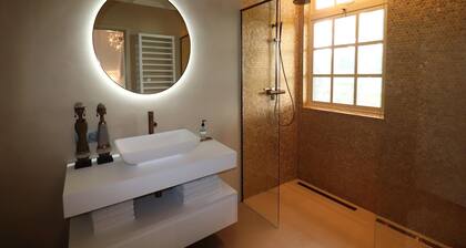 Villa in Ommen with Private Pond