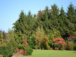 Property grounds - Holiday Home in Eerbeek near Veluwe (Eerbeek)