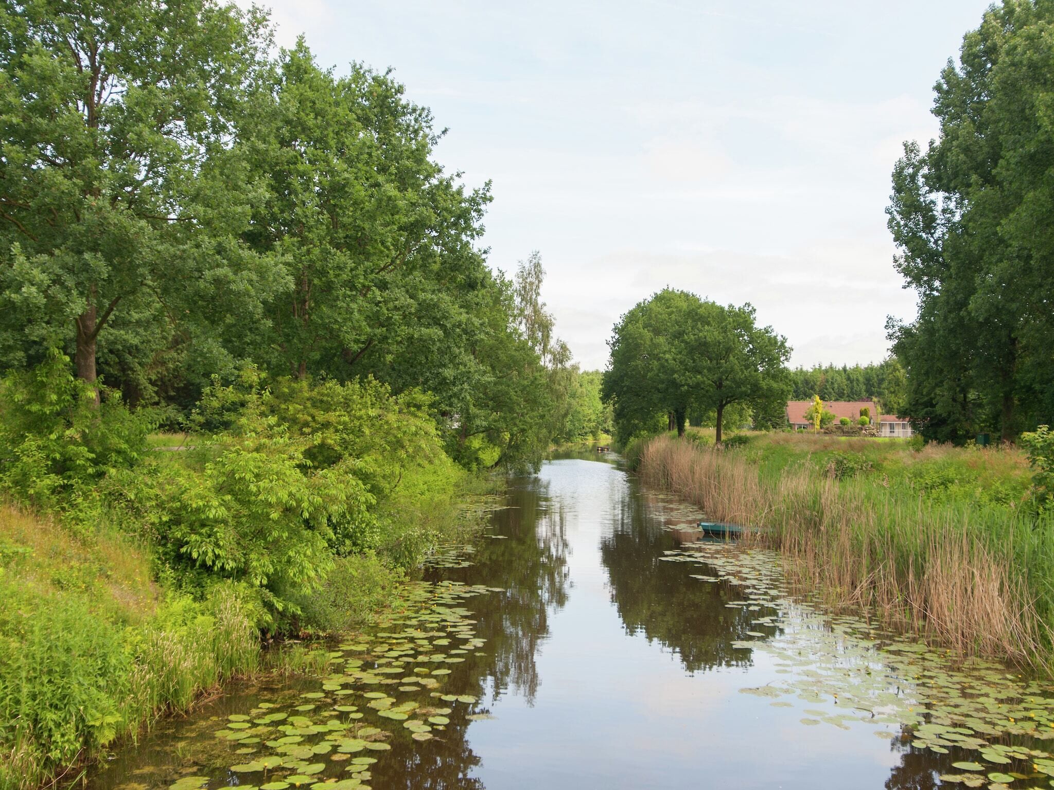 A narrow waterway flanked by dense greenery and trees, with a house visible in the distance.
