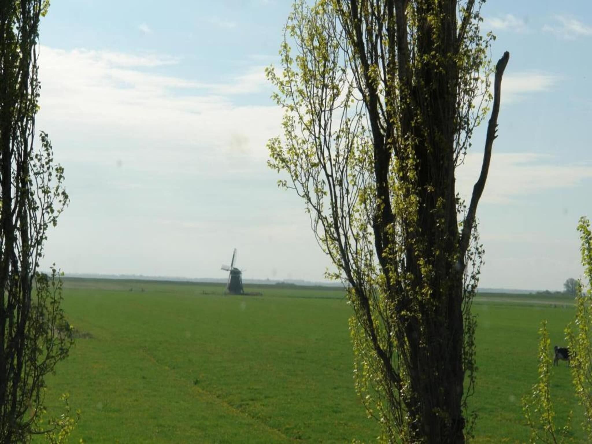 A rural landscape with a windmill in the distance, surrounded by open fields and trees.
