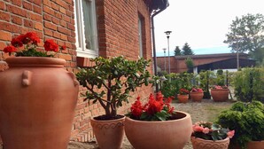Des pots en terre cuite ornés de diverses plantes et fleurs, un mur de briques et une fenêtre.