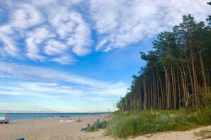 Playa en los alrededores 