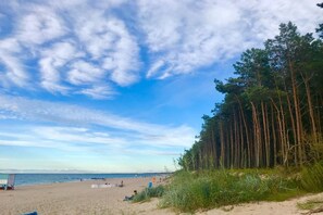 Uma praia com céu claro, areal arenoso e uma linha de árvores ao fundo.