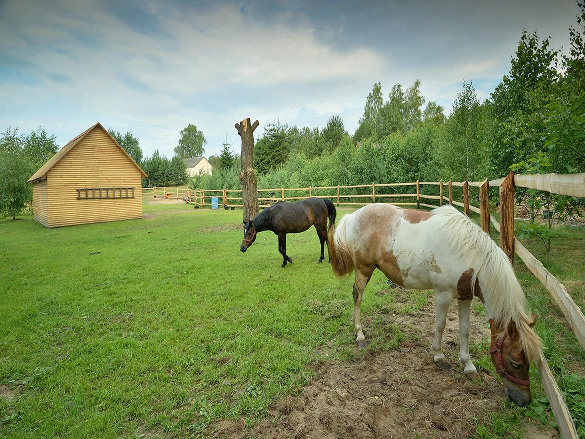 A stable with two horses and a wooden building in a grassy field.