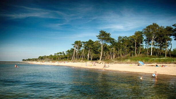 A beach with clear water, a sandy shore, and trees in the background.