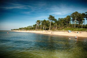 Una playa con agua cristalina, una orilla arenosa y árboles al fondo.