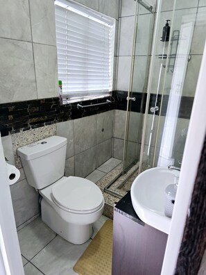 Haartrockner, Handtücher, Seife