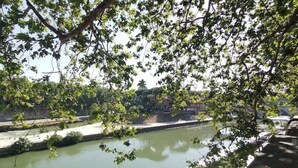 A view of a river with a bridge in the background, surrounded by trees. - Your Home In Trastevere (Roma)