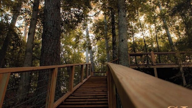 Un escalier en bois menant à une plateforme dotée d’une rambarde en métal, le tout entouré d’arbres.
