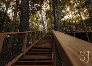Una escalera de madera que sube a una plataforma con barandilla de metal, rodeada de árboles.