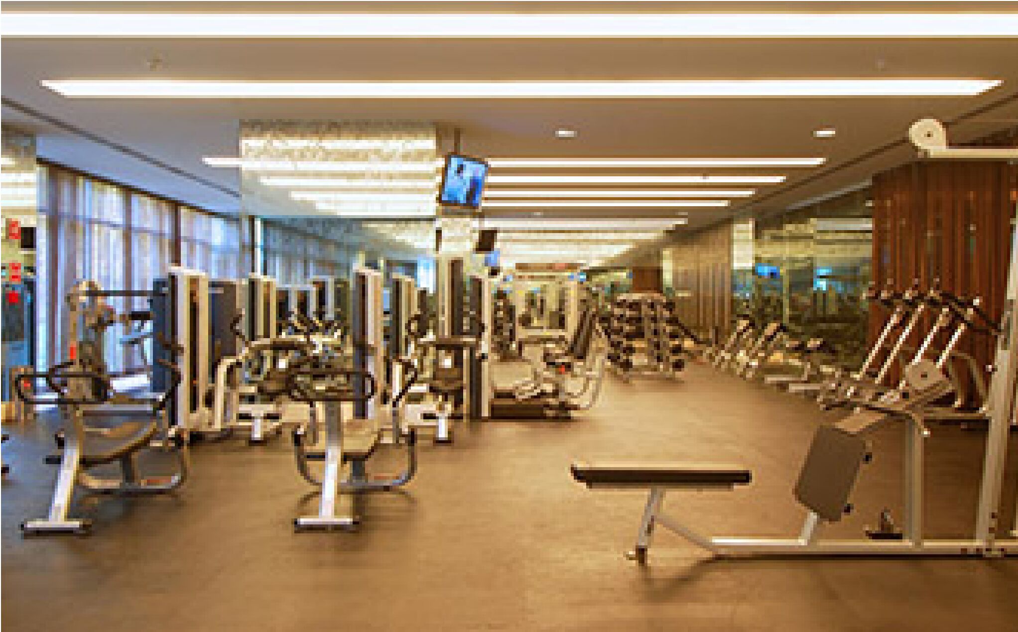 A modern gym with various exercise equipment, including treadmills and weight machines.