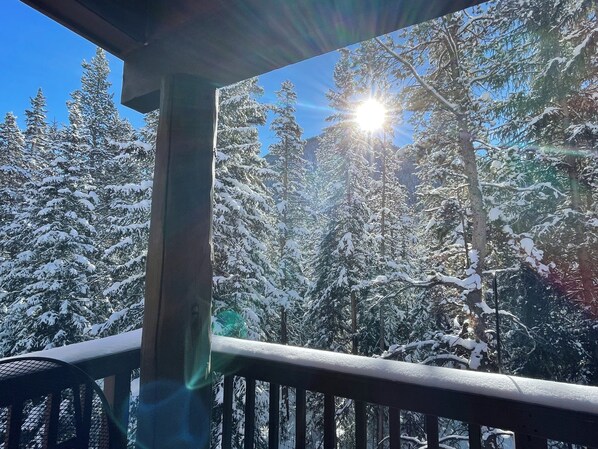 Property grounds - Spacious and Bright Keystone Townhome (Keystone)