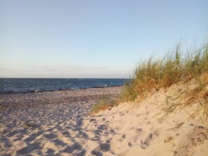 Une plage de sable avec des dunes et l’océan en arrière-plan.