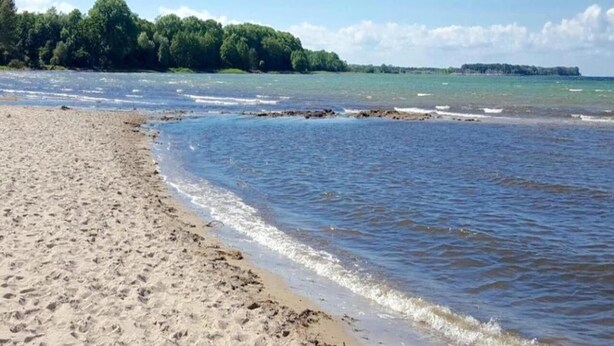 A sandy beach with gentle waves, a clear sky, and a forested island in the distance. - Komfortables Wohnung in Zierow mit Sauna (Zierow)