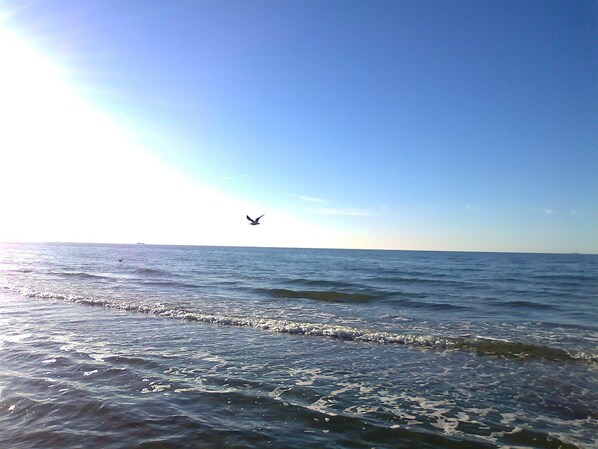Una playa cerca