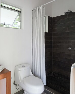 Shower, eco-friendly toiletries, hair dryer, towels