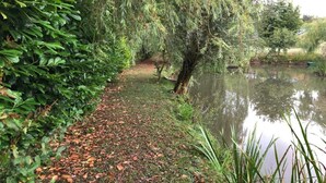 A pathway beside a pond with dense foliage on one side and a tree with hanging branches over the water. - Idyllic Lakeside Cottage (Florennes)