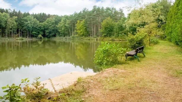 A lakeside bench with a view of a calm lake and dense forest. - Idyllic Lakeside Cottage (Florennes)