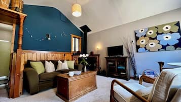 Smart TV, fireplace, books