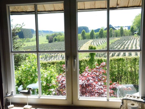 Forest Cottage, Jehonville