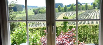 Forest Cottage, Jehonville