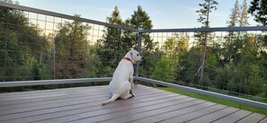 Property grounds - Yosemite Getaway | Starlink + Forest Views (Mariposa)