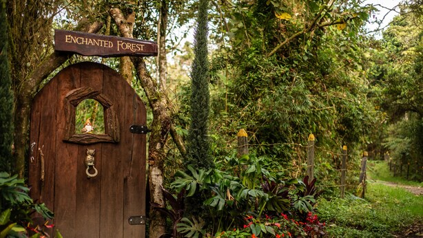 A wooden door with a sign reading "Enchanted Forest" and a small figurine of a fairy. - Owl's Watch Nature Retreat (Manizales)