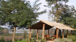A wooden gazebo with a thatched roof, surrounded by lush greenery and trees, overlooking a scenic landscape. - Tuscan Holiday Home with Pool (Chiusi)