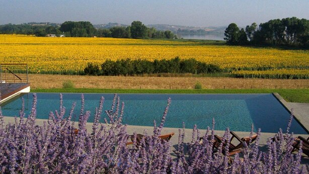A swimming pool with a view of a field of yellow flowers and purple flowers in the foreground. - Tuscan Holiday Home with Pool (Chiusi)