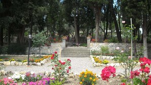 A garden with a stone pathway leading to a staircase, surrounded by various flowering plants and trees.