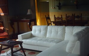 Televisie, een open haard en een tafeltennistafel