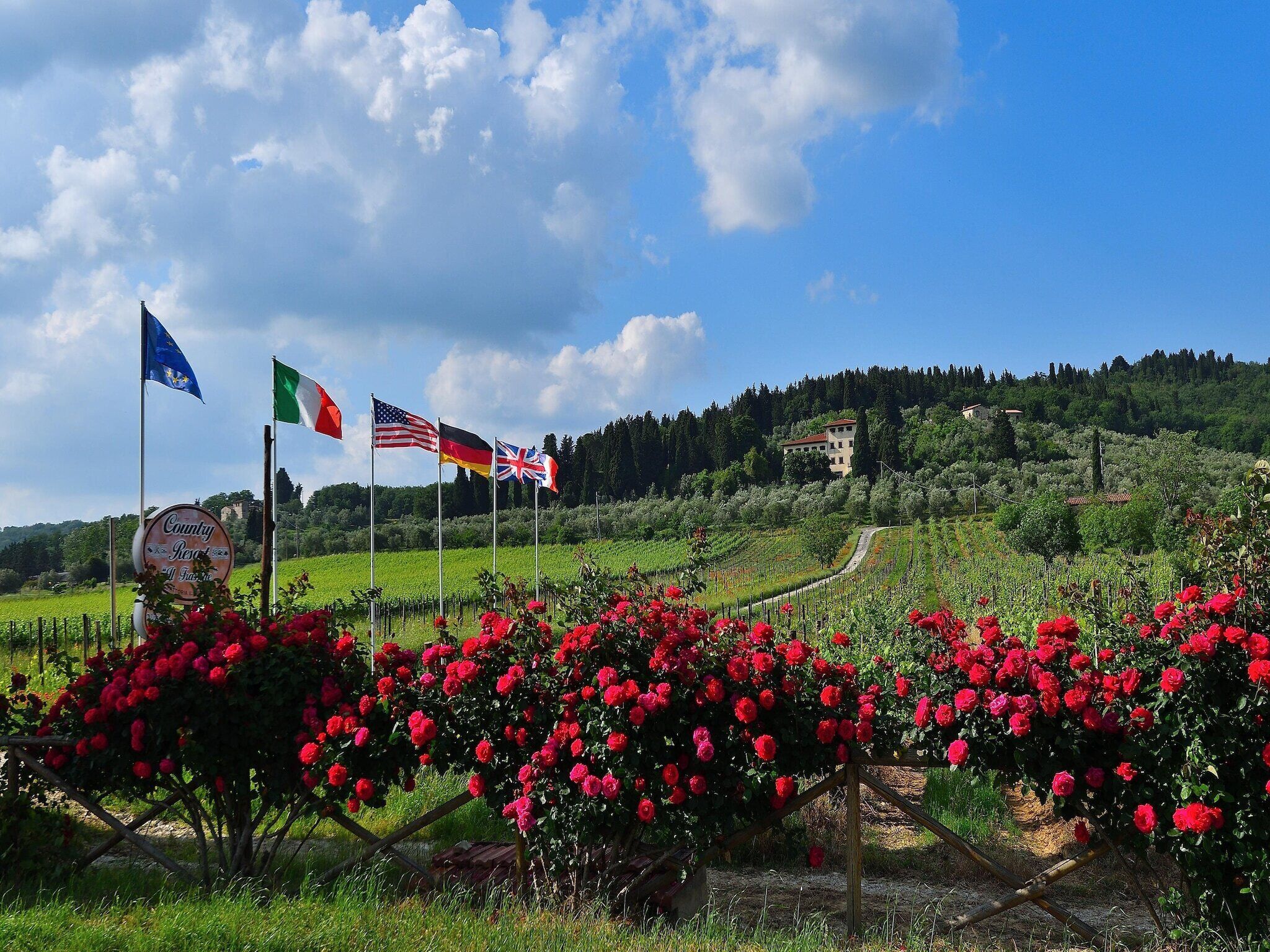 A vineyard with red flowers and flags of the USA, UK, Germany, and Italy.
