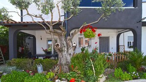 A tree with a birdhouse, surrounded by a variety of plants and flowers.
