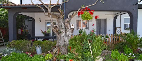 A tree with a birdhouse, surrounded by a variety of plants and flowers.