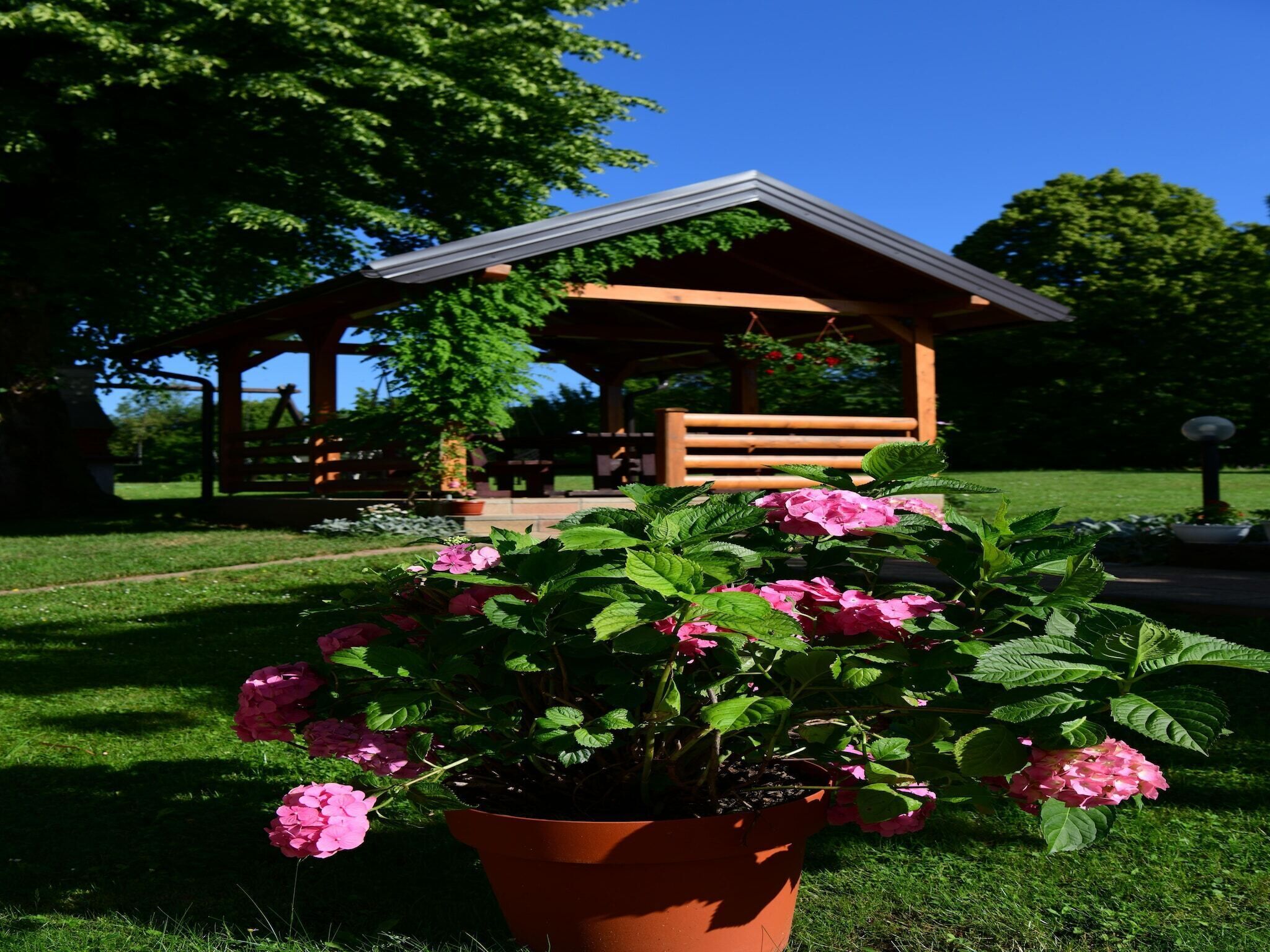 A garden with a wooden gazebo, a potted plant with pink flowers, and a grassy area.
