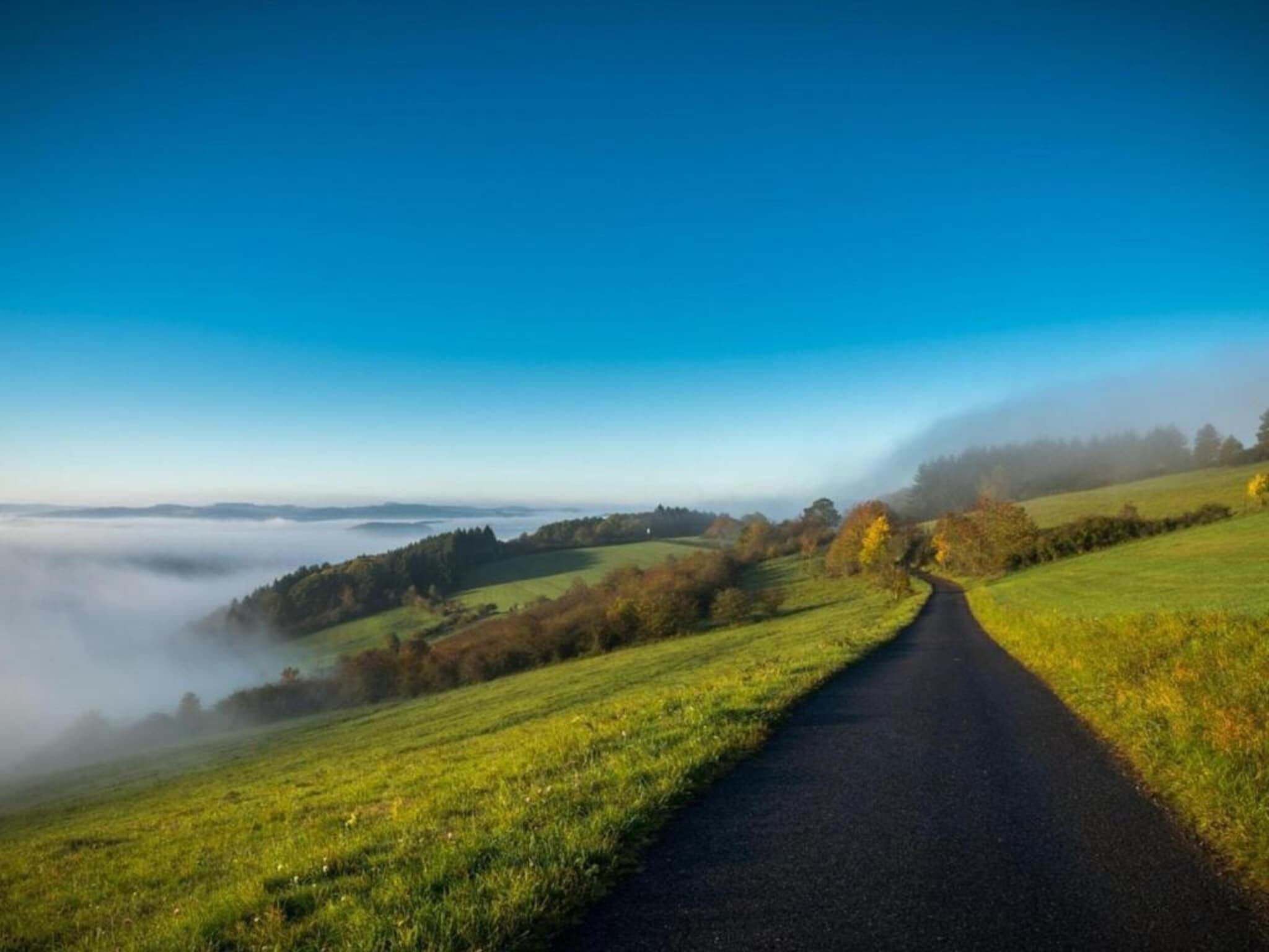 Eine ländliche Straße schlängelt sich durch eine grüne Landschaft mit Feldern und Bäumen, unter blauem Himmel.