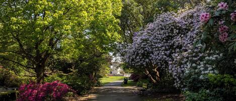 المنطقة المحيطة بالمنشأة