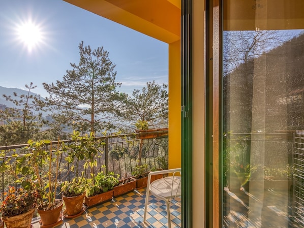 A balcony with potted plants, a chair, and a view of trees and mountains.
