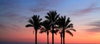 Terrace Apartment by Beach