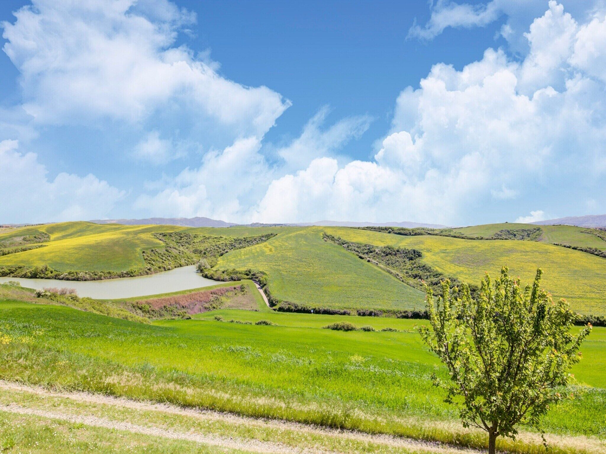 A landscape with rolling hills, a small body of water, and a single tree in the foreground.