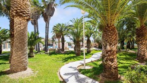 A pathway lined with palm trees and a paved walkway.