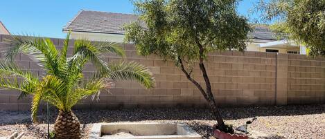A landscaped backyard with a palm tree, a small tree, and a concrete planter.
