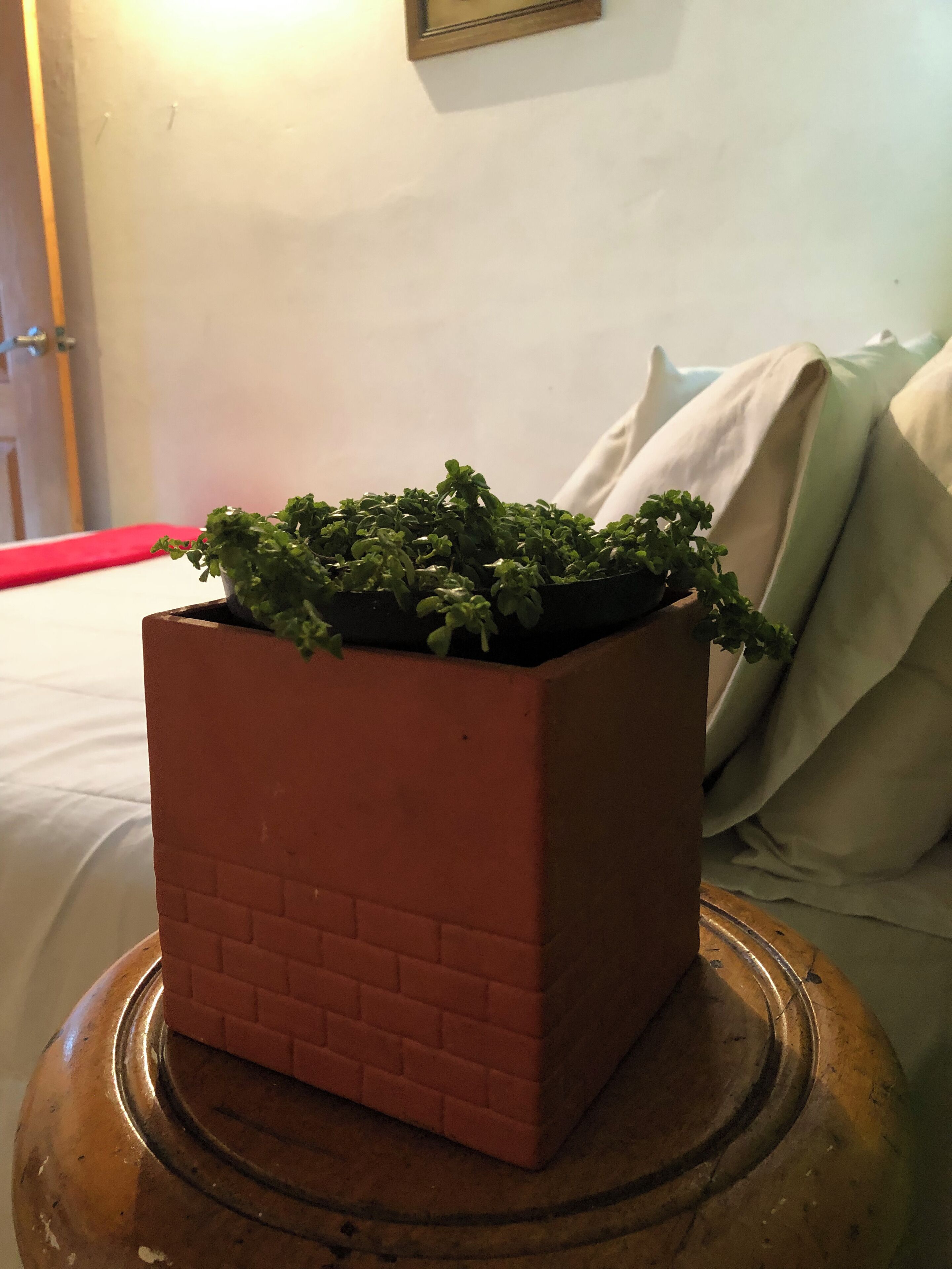 Photo - Balcones Del Lago