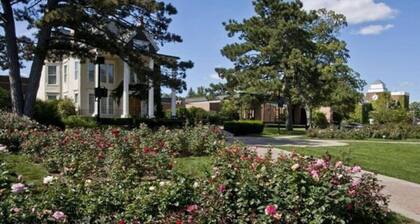 Modern Apt w/ 2 Kings 1/2 mile to DT Libertyville!