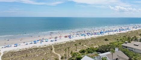 بالقرب من الشاطئ