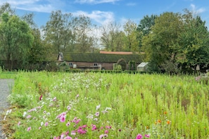 Property grounds - holiday home in Goirle with sauna (Goirle)