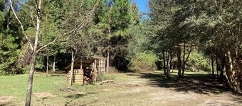 THE ORCHARD disperse primitive site