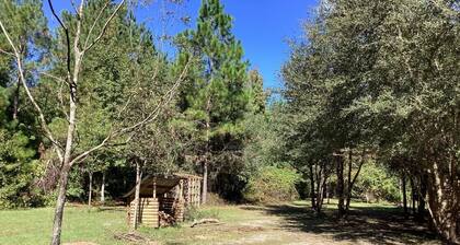 THE ORCHARD disperse primitive site